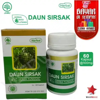 manfaat teh daun sirsak untuk diabetes