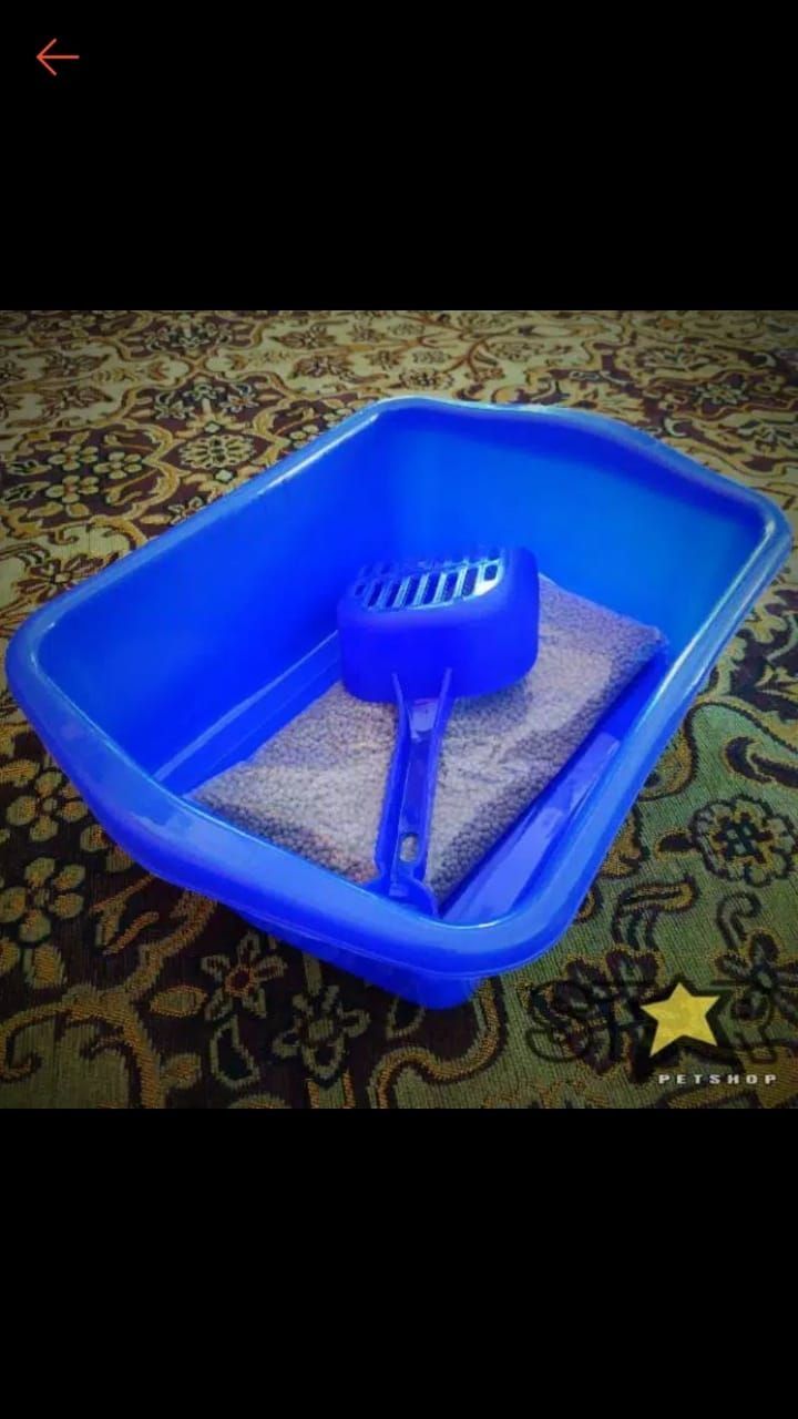 Sampah Toilet Kucing | Lazada.co.id