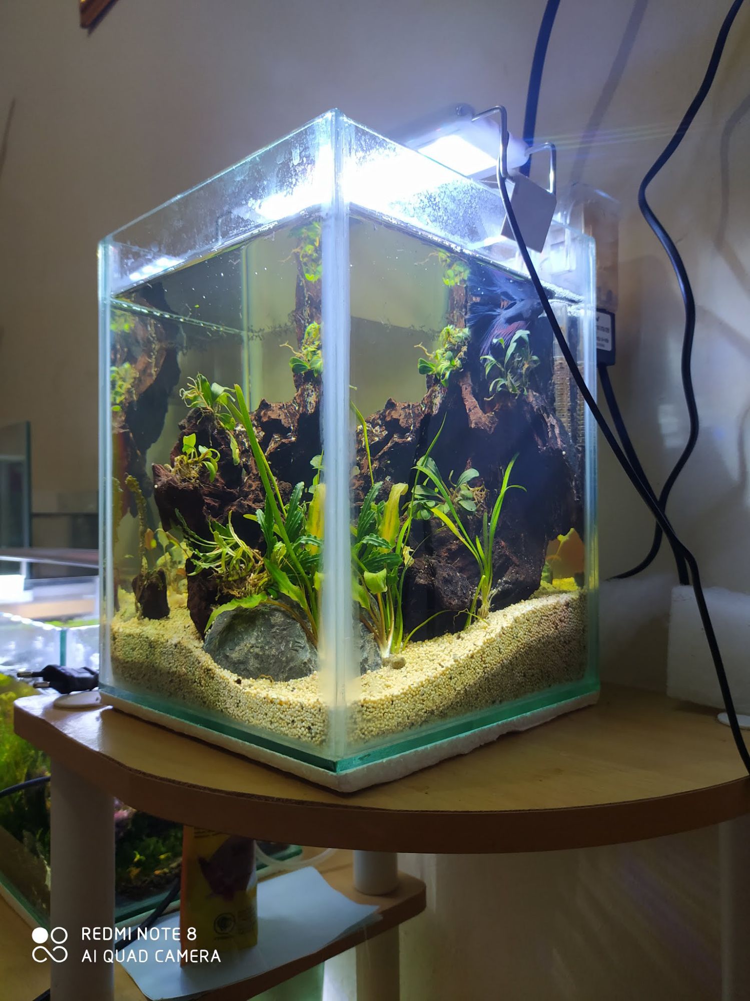 Karawang Komplit Turun Harga Aquarium Tower Tinggi 100x 70x 70 Perlengkapan Hewan Aksesoris Hewan Di Carousell
