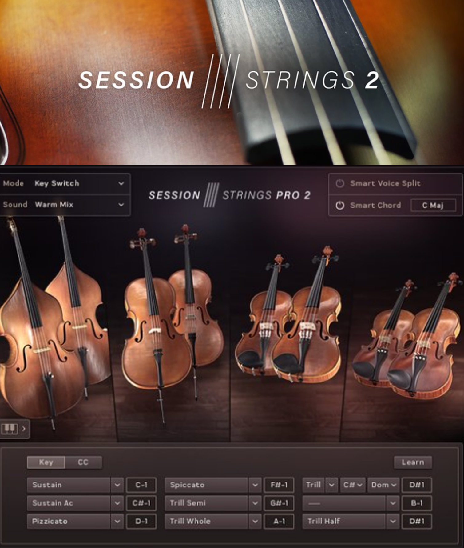 Session String Pro 2 Kontakt Library | Lazada Indonesia