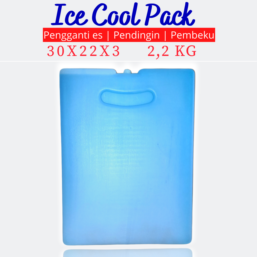 BOX PENDINGIN ES KRIM - BOX PENDINGIN ES KRIM - ICE PACK ASI (30x22X3