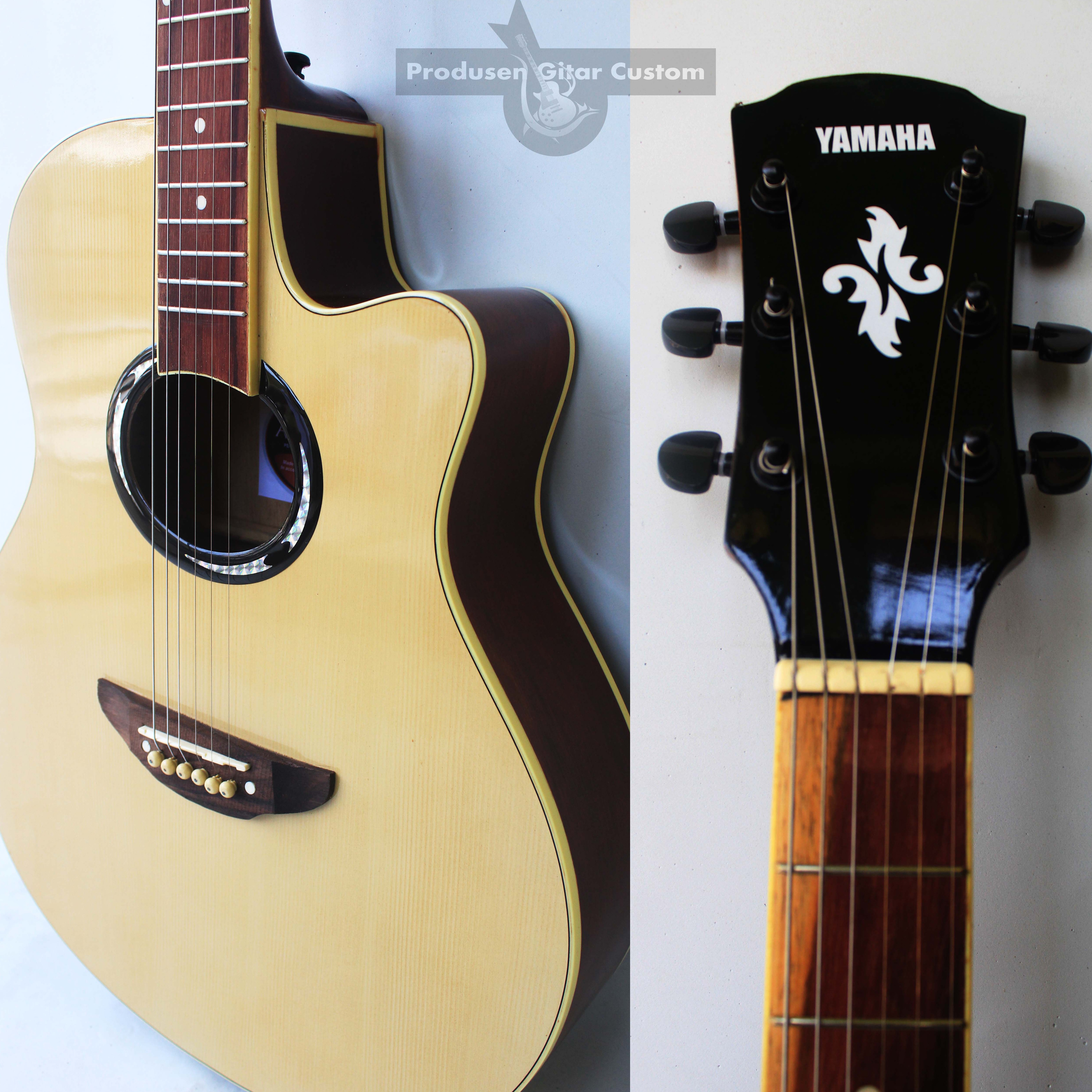 spek gitar yamaha apx 500ii