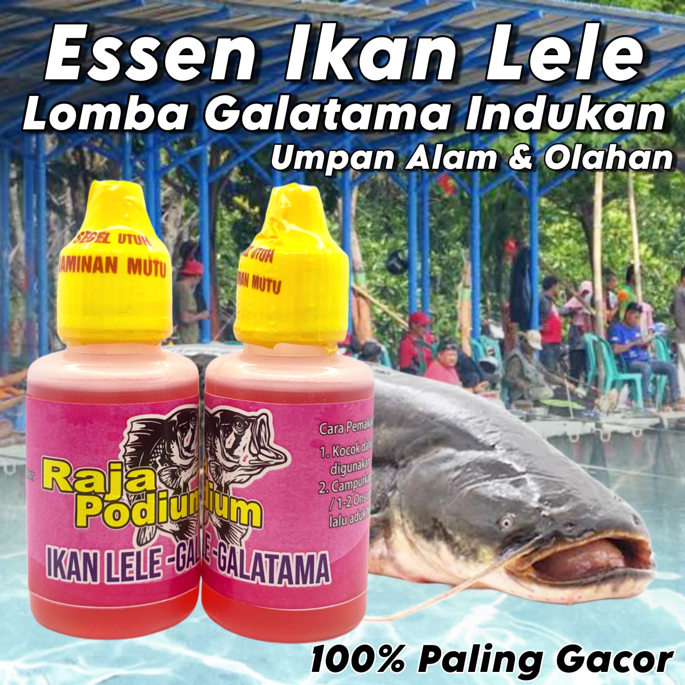 Essen Khusus Ikan Lele Harian Dan Glatama Indukan Paling Gacor Essen