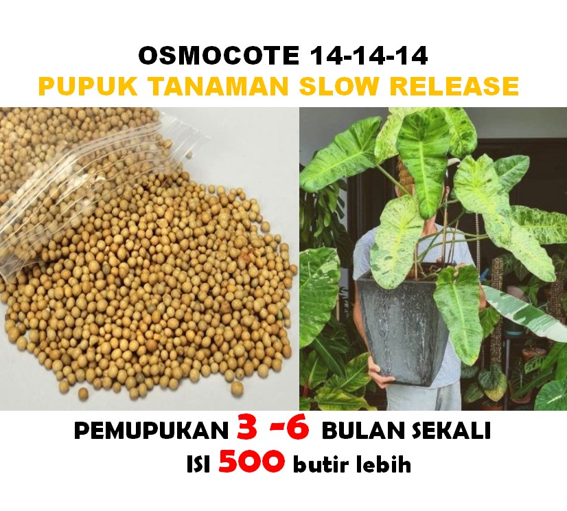 Jual Osmocote 14 14 14 Pupuk Slow Release Repacking 500gr - Jakarta Barat -  Instant&unique Creature