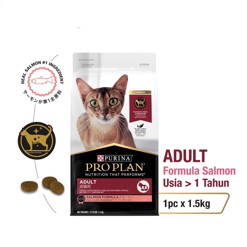 Proplan adult outlet salmon