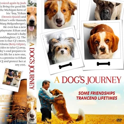 a dogs purpose box office a dogs purpose box office