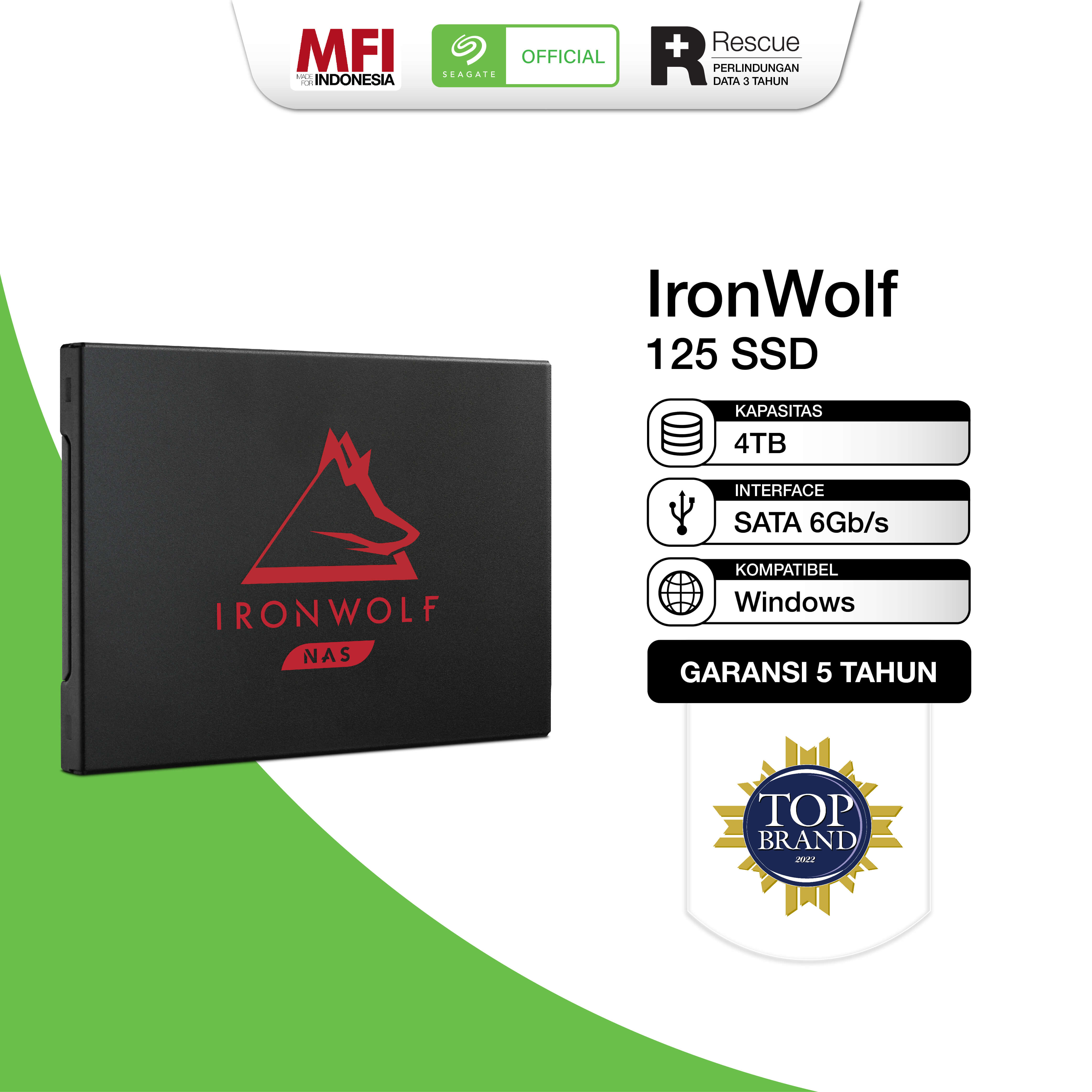 Seagate IRONWOLF NAS SSD 125 4TB Sata SSD TB