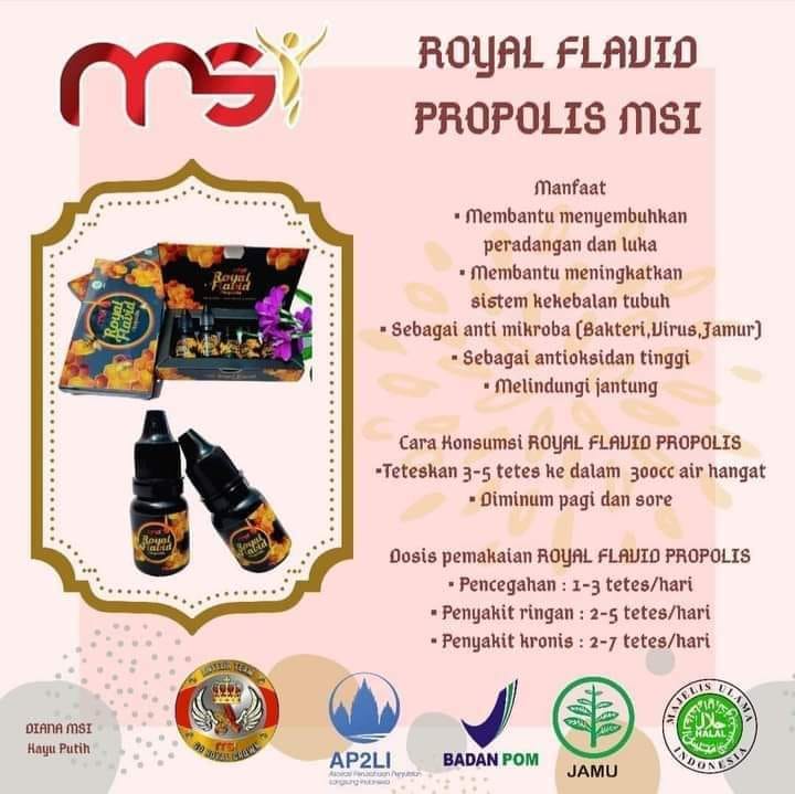 Royal Flavid Propolis Msi Original 100 Gak Ori Dikembalikan Lazada Indonesia