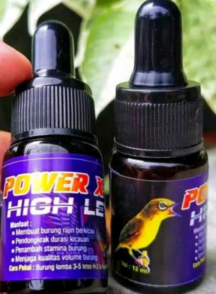 Power Extream High Level Doping Pleci Special Lazada Indonesia