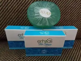 Image result for fish soap nasa