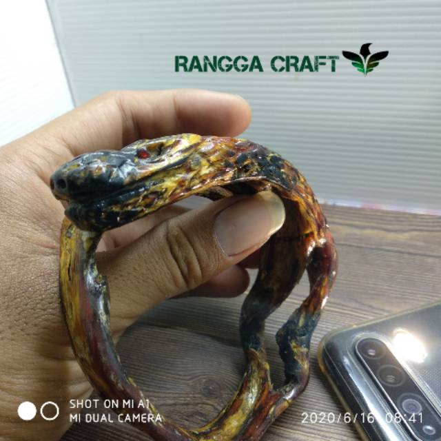 Vannada mulatto porno