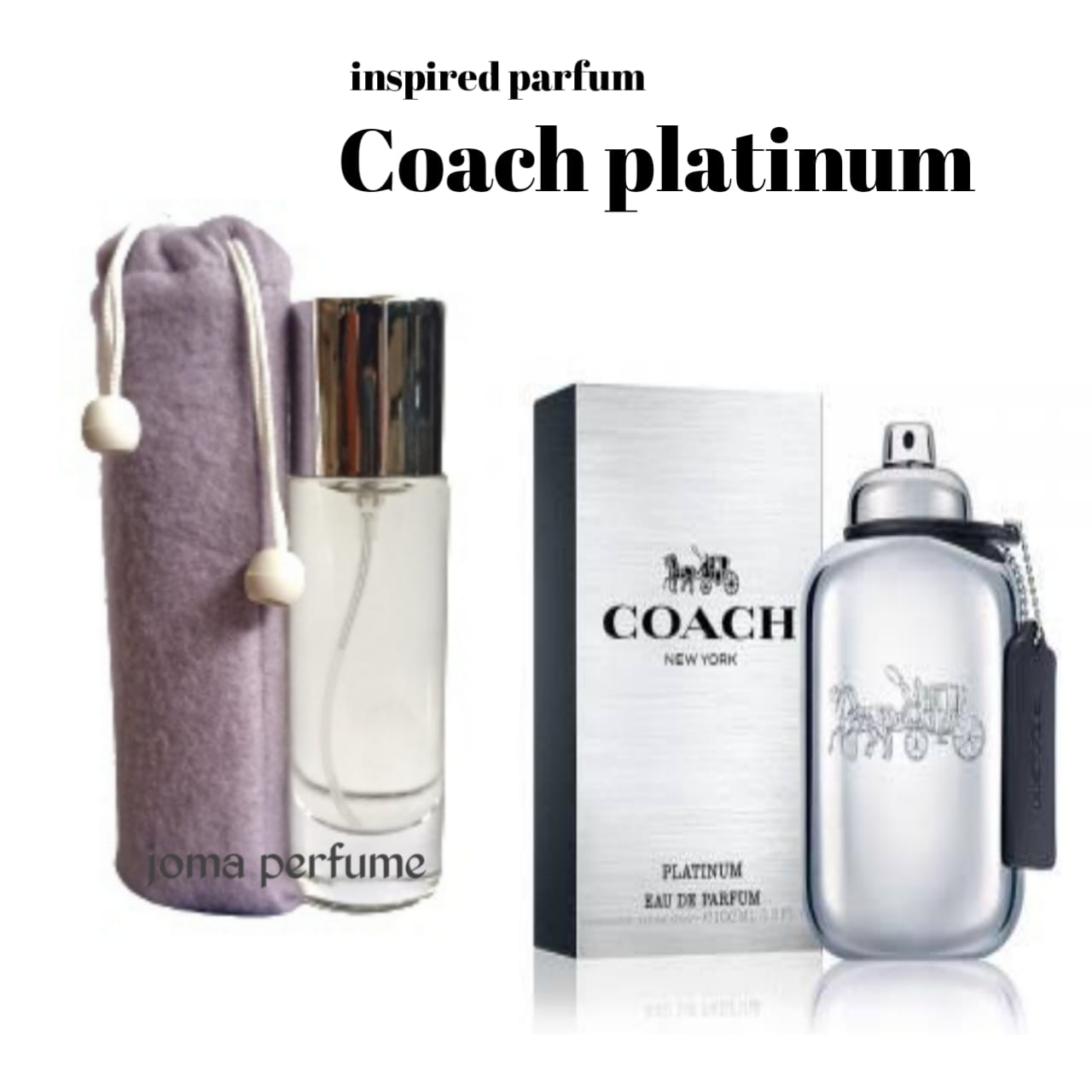 coach platinum coach