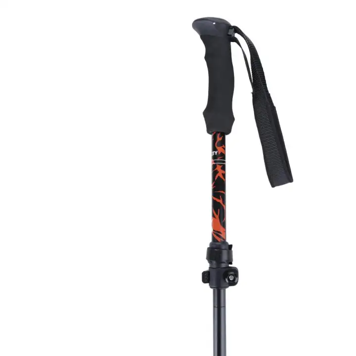 eiger trekking pole