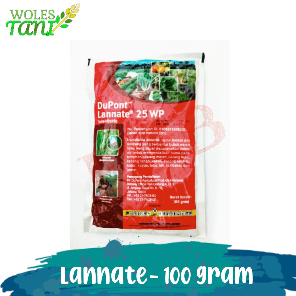 Insektisida Lannate Merah 100 Gram Insektisida Ulat Grayak | Lazada ...