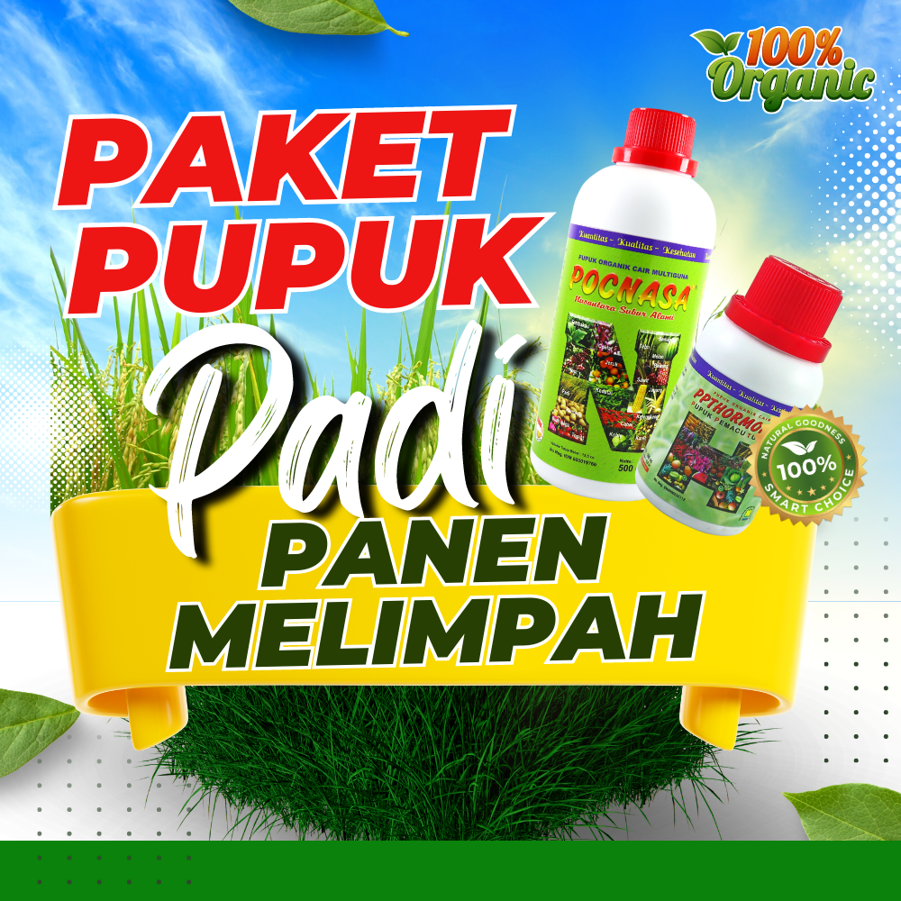 Pupuk Tanaman Padi Terbaik/Pupuk Perangsang Buah Padi Dan Pelebat Buah ...