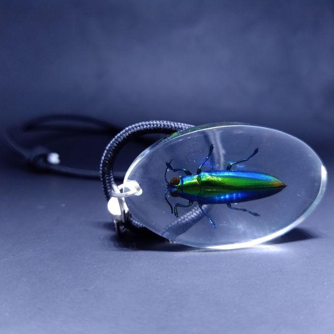 Kalung Samber Lilin Membeli Jualan Online Pernak Pernik Hadiah