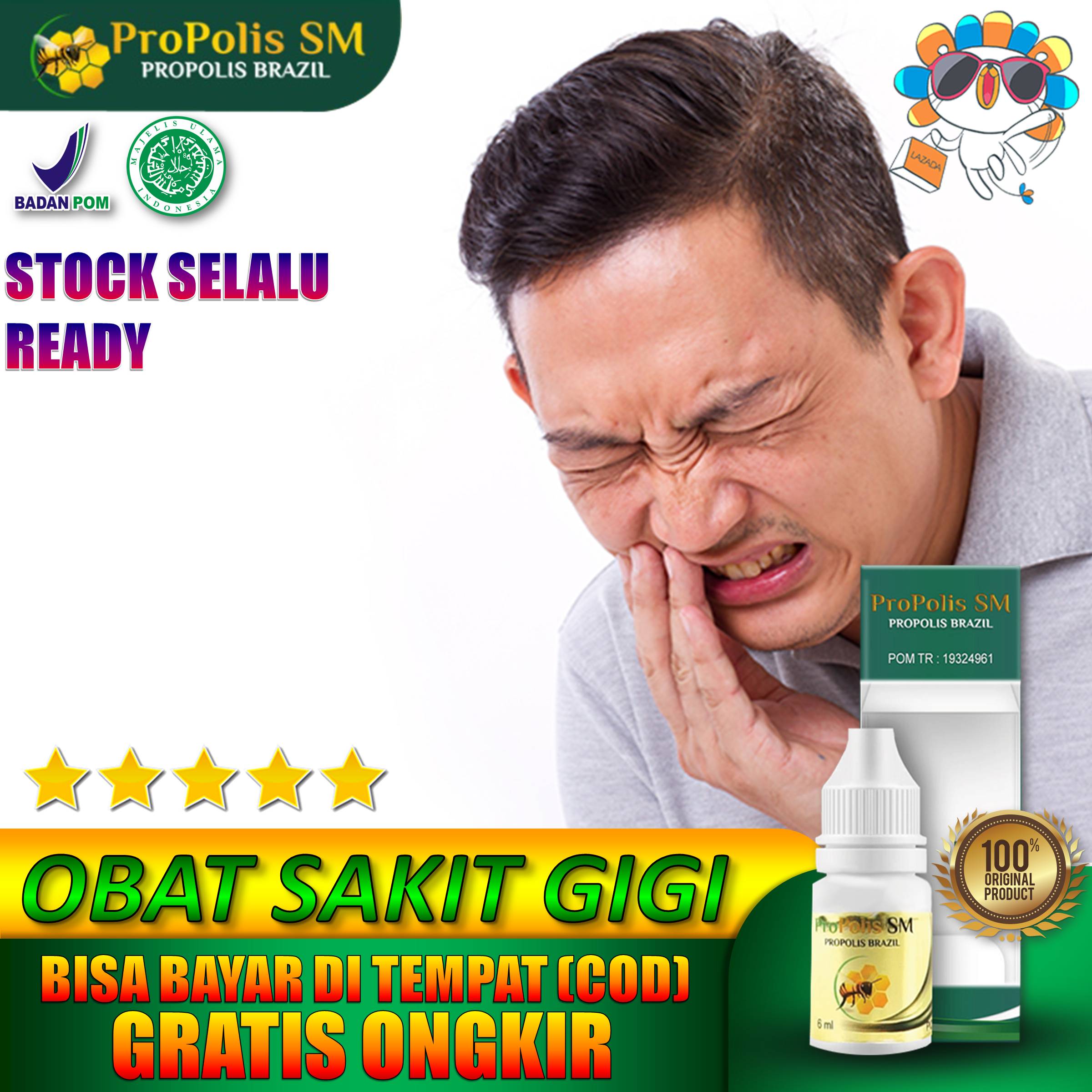 Propolis SM- Obat Sakit Gigi, Cair Herbal Pereda Nyeri Gigi, Sakit Gigi ...