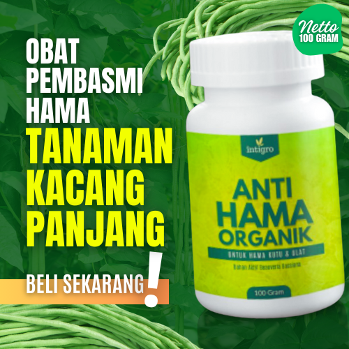 Pestisida Obat Hama Ulat Kacang Panjang Kutu Wereng Bereng Insektisida ...