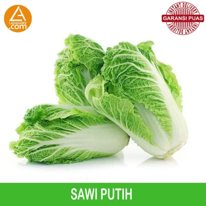 Sawi Putih 1 Kg Sayur Segar Garansi Termurah Lazada Indonesia