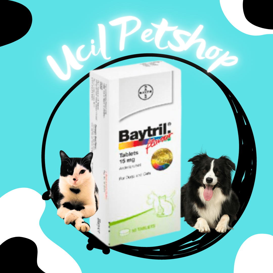 Baytril Flavour Tablet Antibiotik Kucing dan Anjing 15 mg | Lazada ...