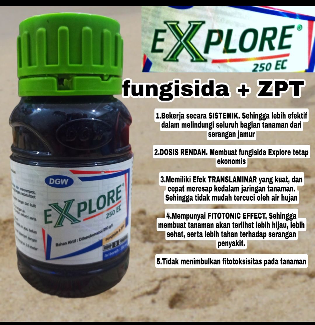fungisida explore 250 ml / fungisida sitemik / bsercak daun / jamur
