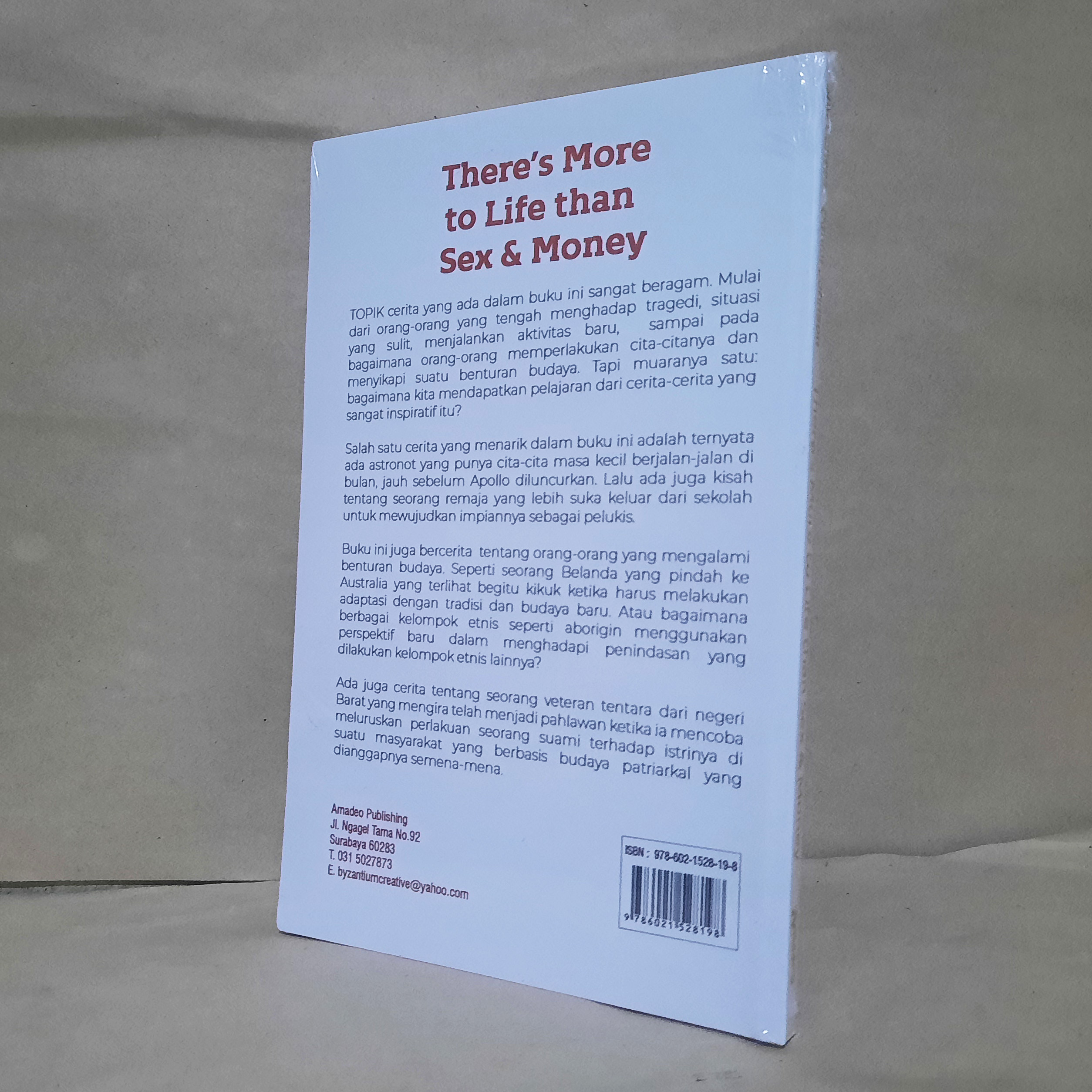 Buku There's More to Life than Sex & Money - Sue Calwell