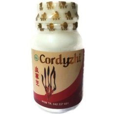 Daxen Cordyzhi Herbal Cangkok Gagal Ginjal - Isi 270 Kapsul