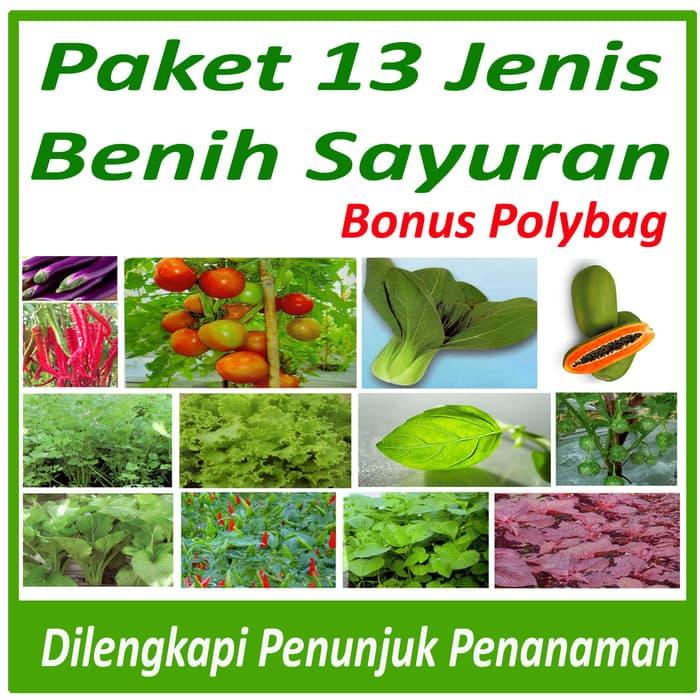 Paket Super 13 Jenis Bibit Unggul (pokcoy, cabe, kangkung, pepaya dll)
