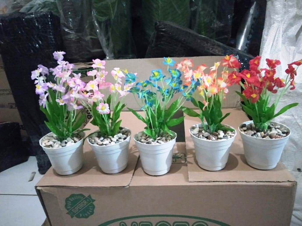 Paket Hemat Bunga Mini Star Plastik Artificial Palsu Bunga Hias Plastik Dekorasi Ruang Dekorasi Rumah Bunga Palsu Buket Bunga Pot Bunga Bintang Mini Lazada Indonesia