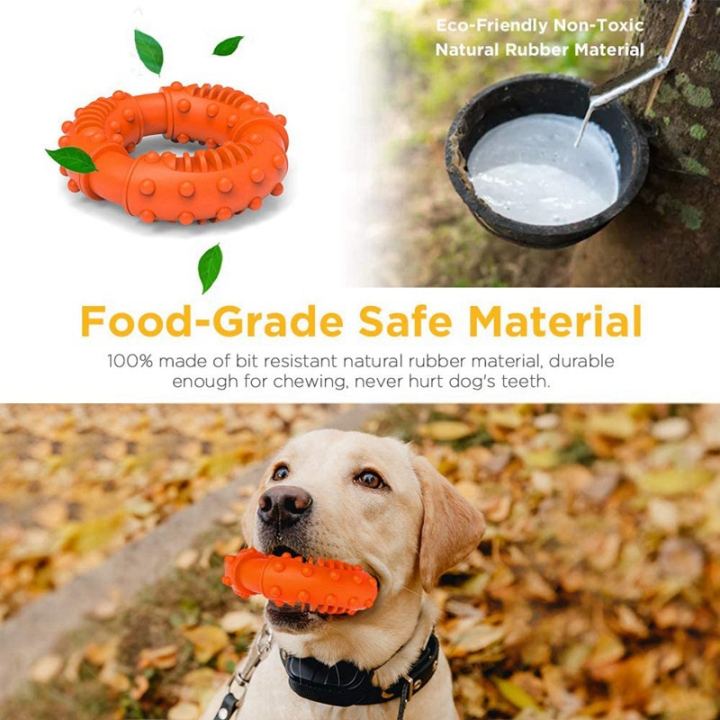 rugged dog toys