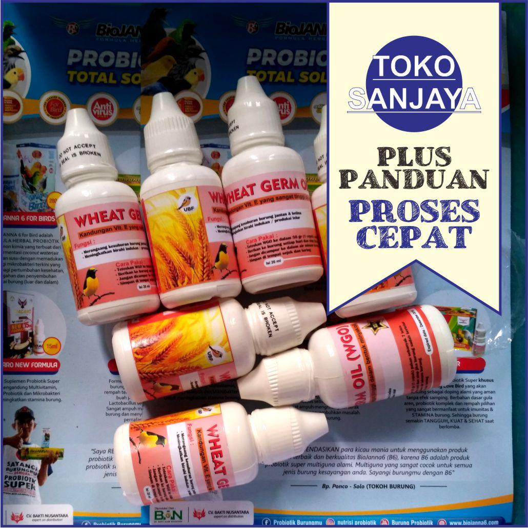 Wgo Wheat Germ Oil Minyak Vitamin Ternak Burung Breeding Lovebird