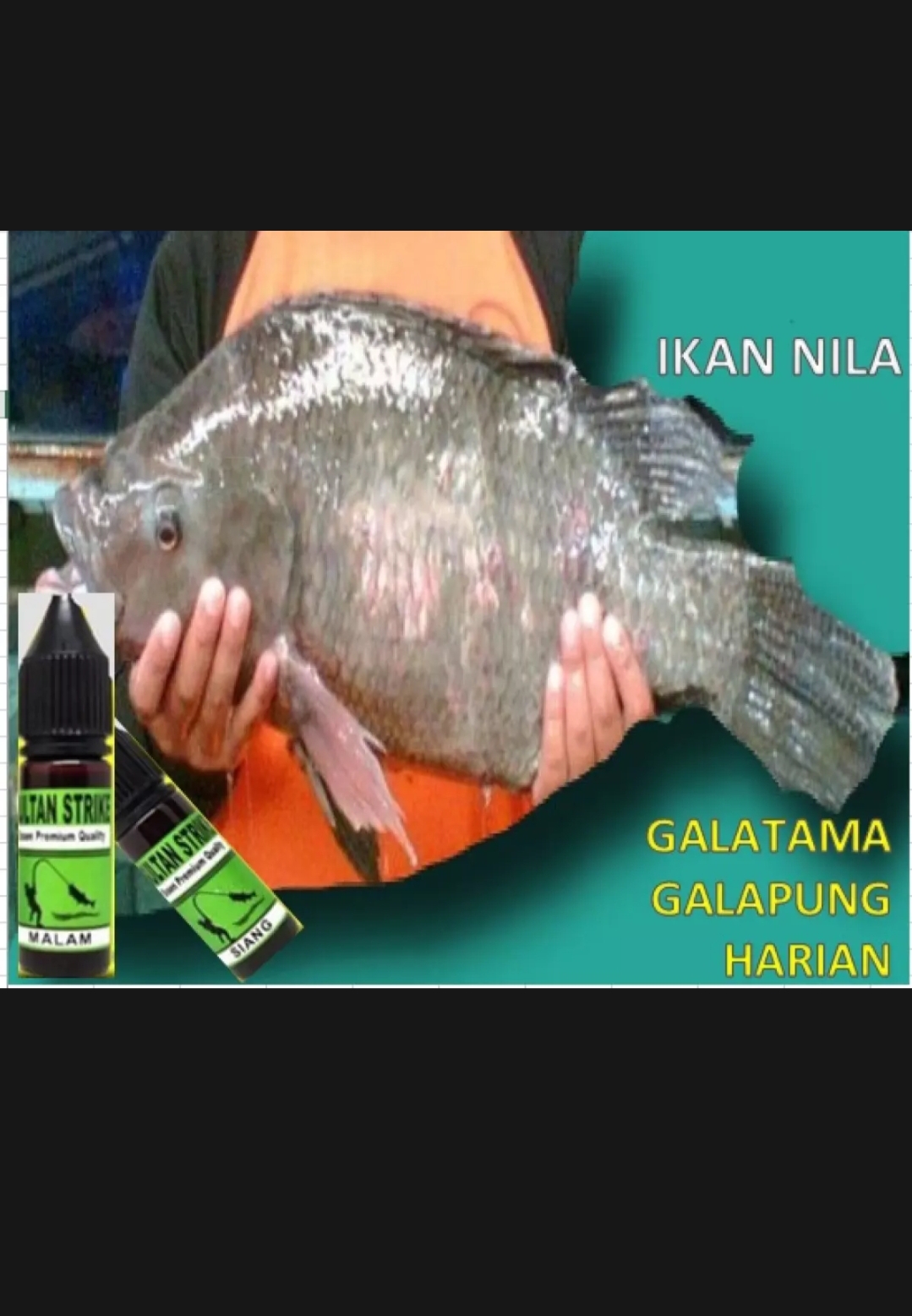 Nila "SULTAN STRIKE"Essen Premium khusus Nila,jagonya mancing ikan Nila,jago dan malam galatama,galapung dan harian | Indonesia