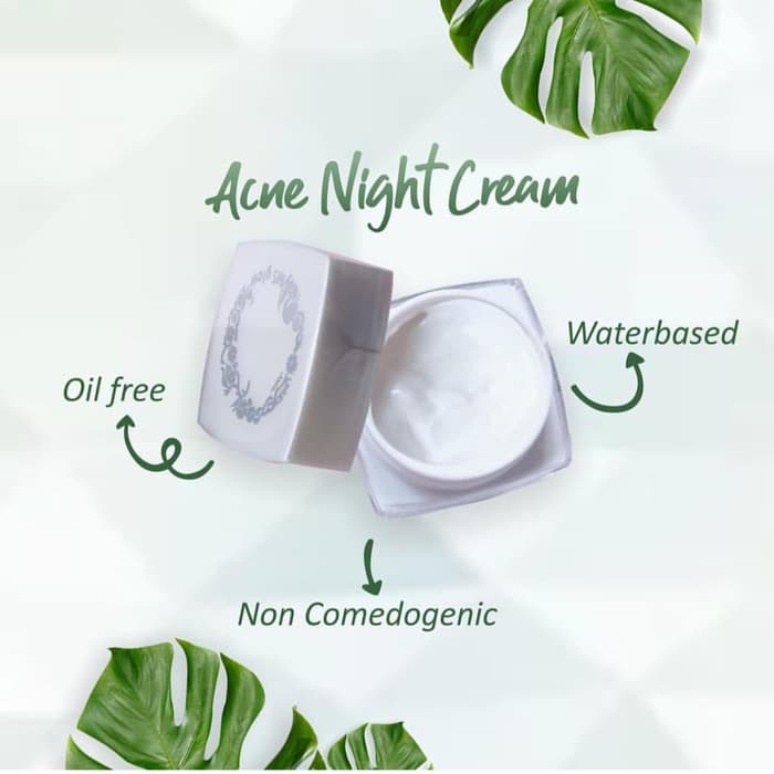 acne night cream ms glow