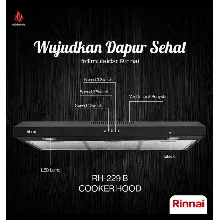 Hood RINNAI RH 229 B NEW PRODUCT / 2 blower / Hitam / 90cm | Lazada  Indonesia