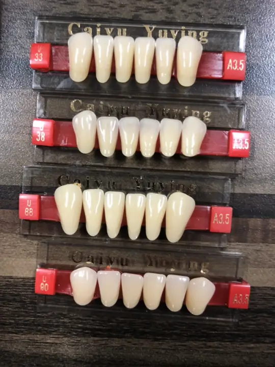 Termurah Gigi Palsu Caiyu A3 5 Depan Bawah Harga 1 Strip 6 Butir Gigi Lazada Indonesia Termurah Gigi Palsu Caiyu A3 5 Depan Bawah Harga 1 Strip 6 Butir Gigi Lazada Indonesia