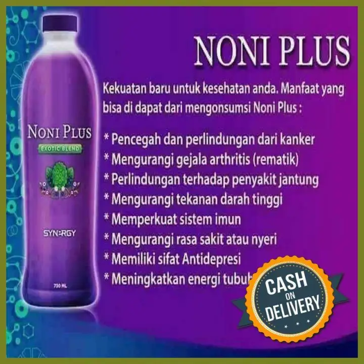 buah mengkudu untuk obat diabetes basah buah mengkudu untuk obat diabetes basah