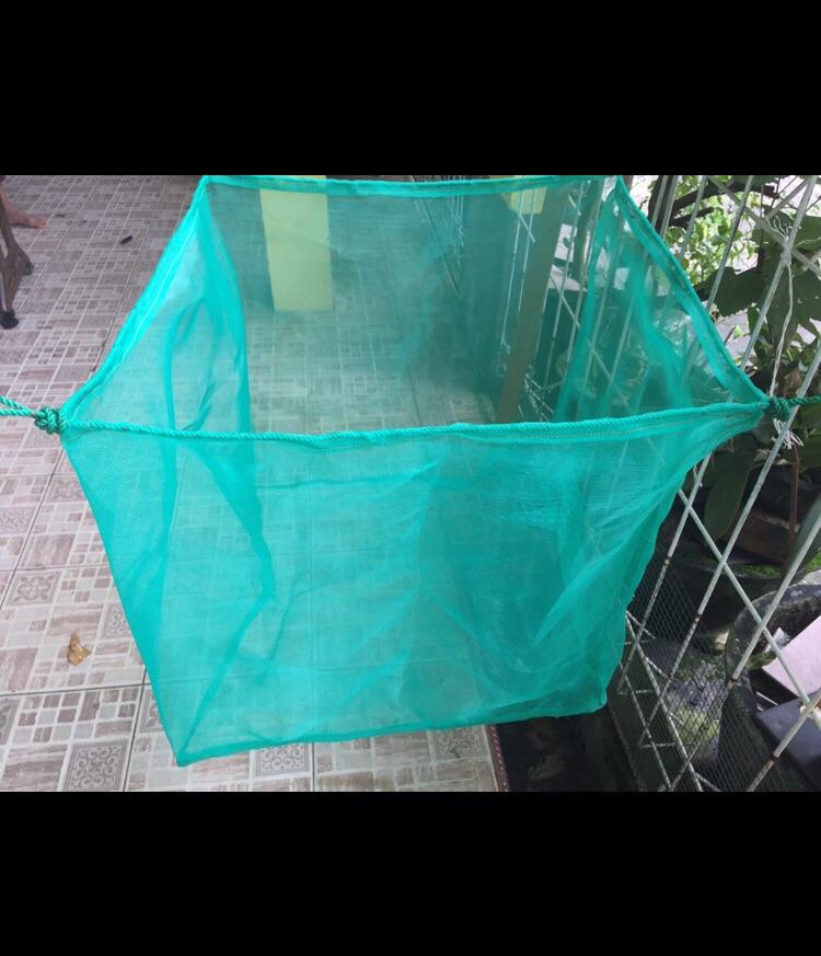 Keramba jaring waring benih bibit hijau tambak ikan