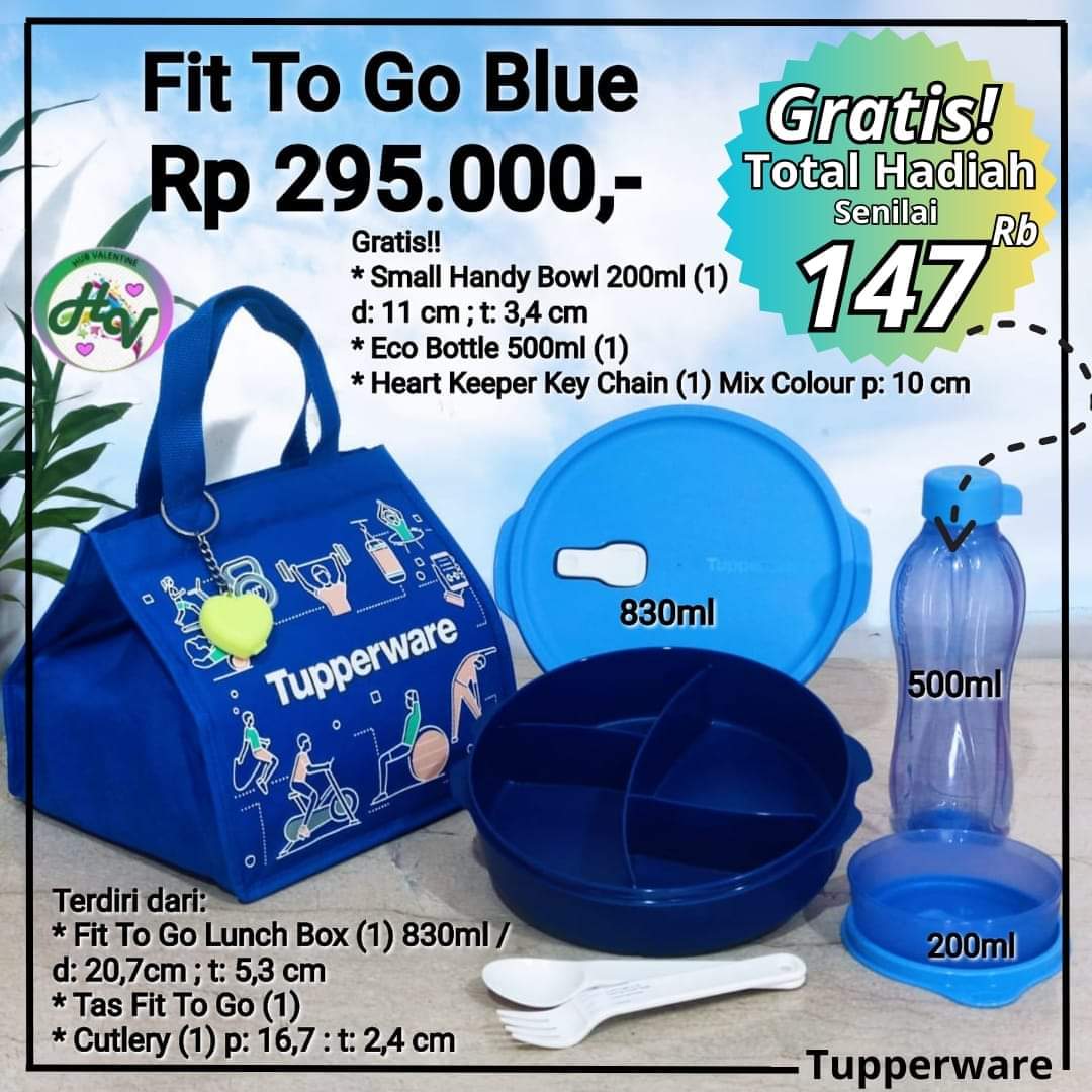 TUPPERWARE FIT TO GO LUNCH BOX Lazada Indonesia