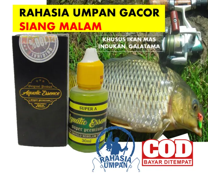 36++ Umpan ikan mas galatama siang malam info