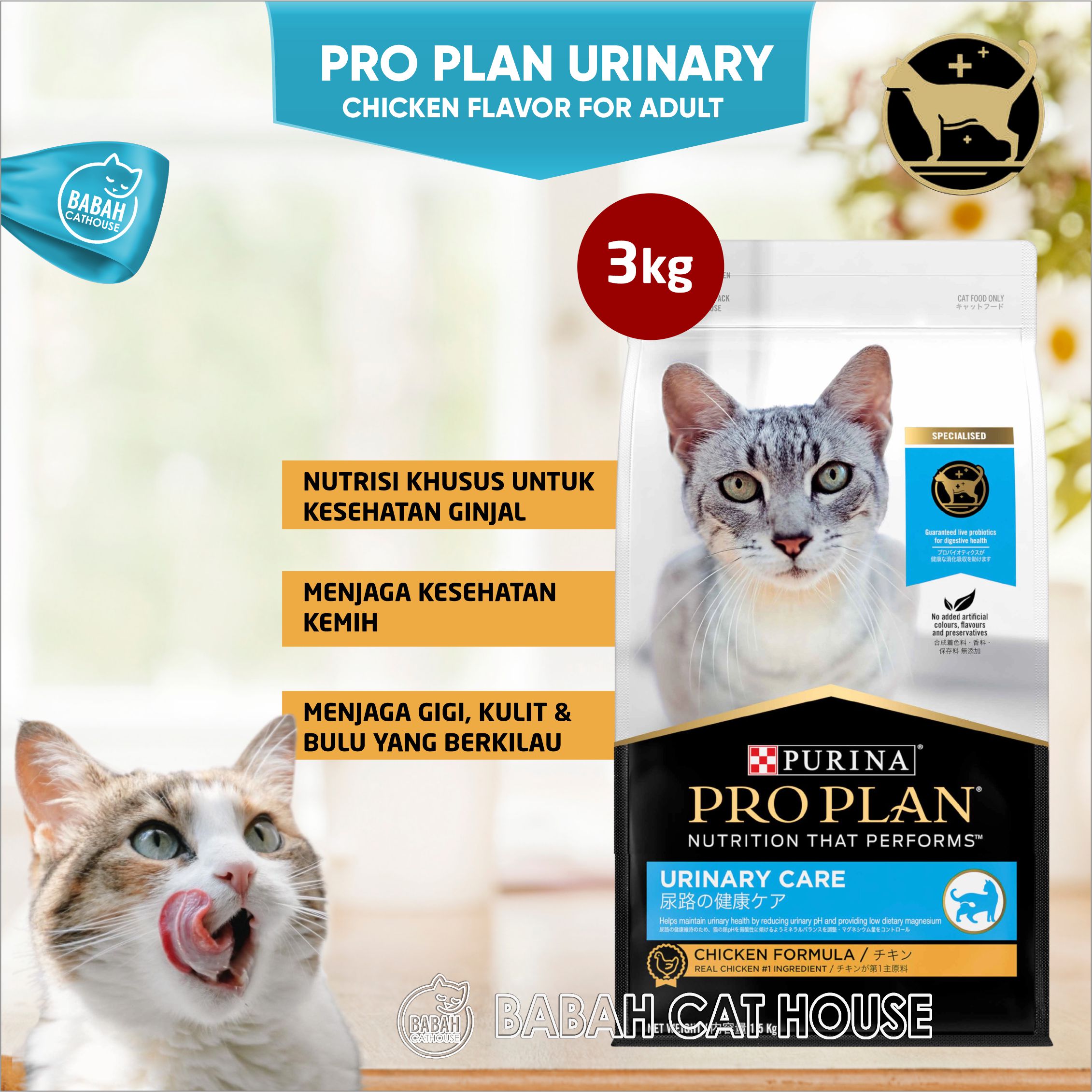 Purina Petco Cat Food Purina Petco Dry Food Purina Pro Plan Petco