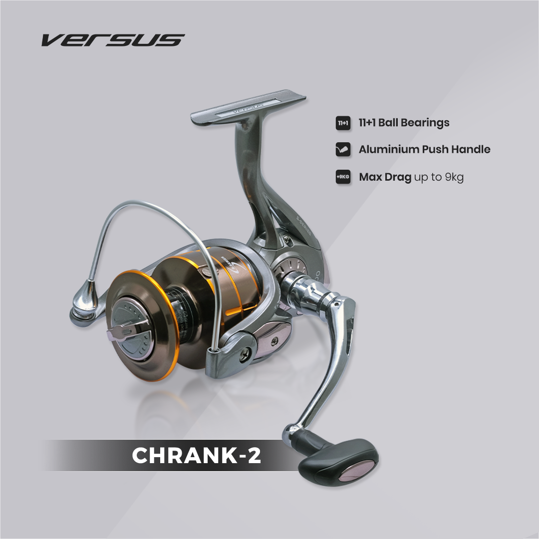 VERSUS Reel Versus SS CHRANK-2 12Ball Bearings Gear Ratio