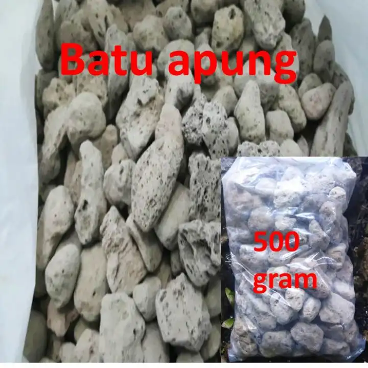 Batu Apung Untuk Media Penyaring Air