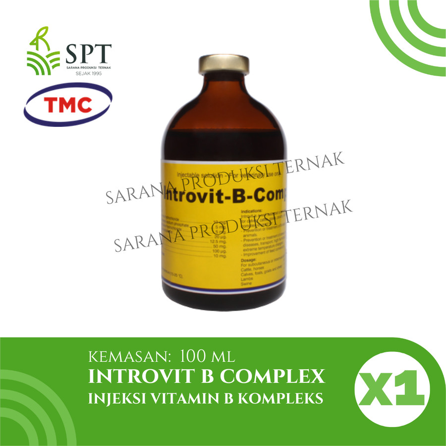 INTROVIT B COMPLEX 100ML B KOMPLEKS SAPI KAMBING DOMBA KUDA TMC ...