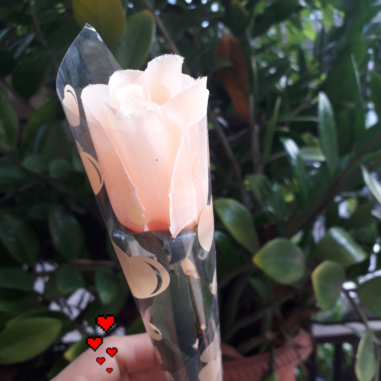 Megasari Cod Bunga Cinta Warna Warni Indah Bunga Valentine