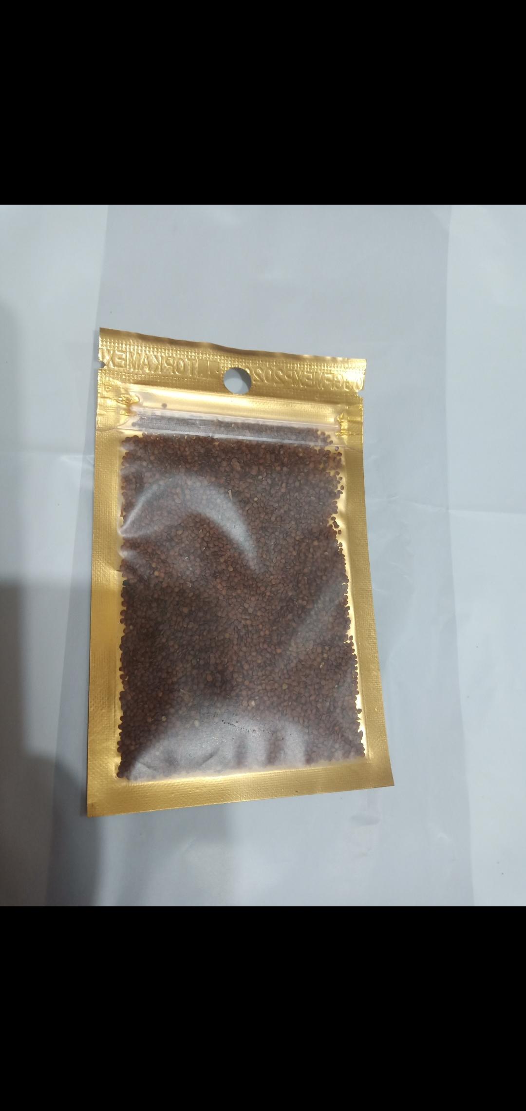 aquascape Bibit seed big leaf seaweed seed medium carpet seed