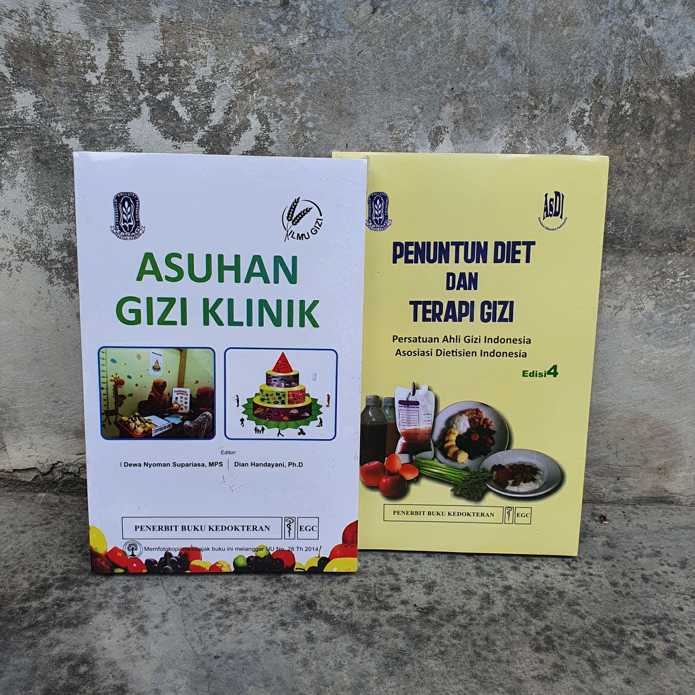 terapi gizi medis terapi gizi medis