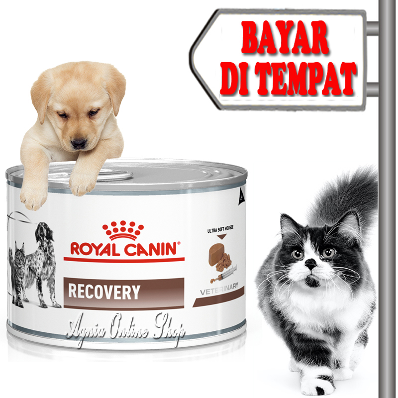 Royal canin shop recovery harga