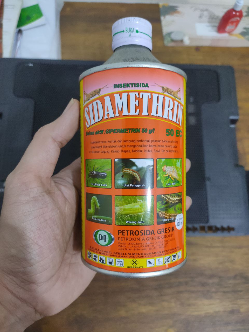 Top 30 porno modellar