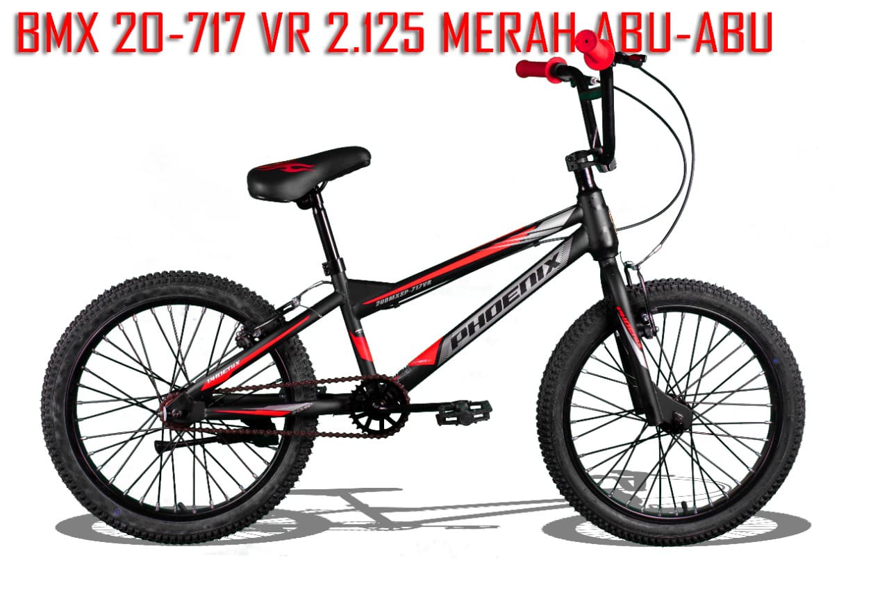 Bmx phoenix 20 hot sale