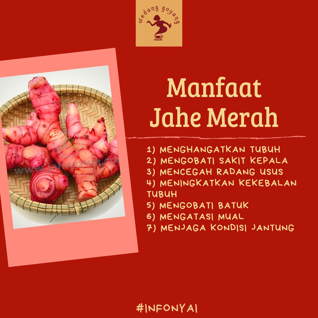 JAHE MERAH ORIGINALMENJAGA IMUN DAYA TAHAN TUBUHHERBAL Lazada Indonesia